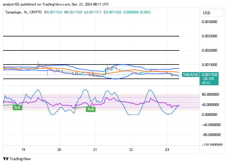 Tamadoge (TAMA/USD) Price Affirms Basis, Building Energy