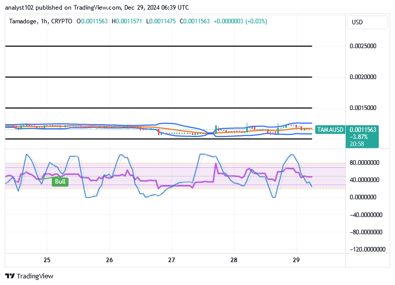 Tamadoge (TAMA/USD) Market Holds Up, Building Muscles