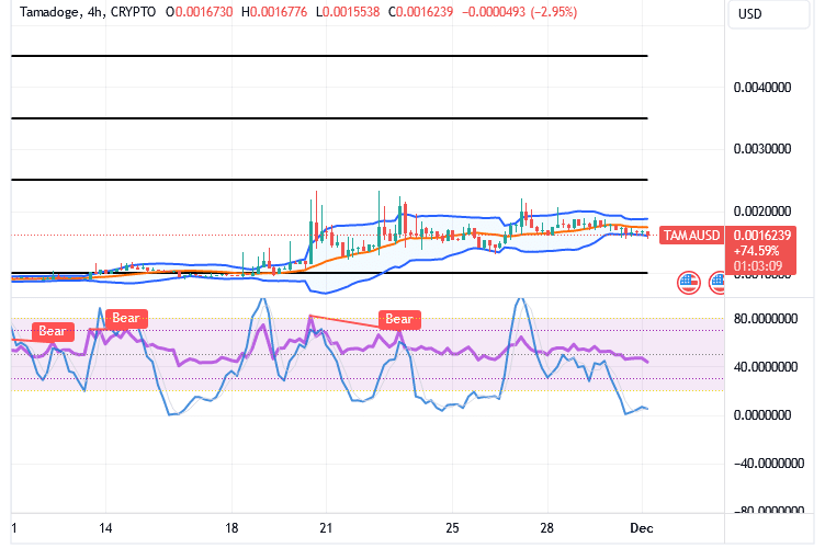 Tamadoge (TAMA/USD) Market Re-energizes, Building Momentum