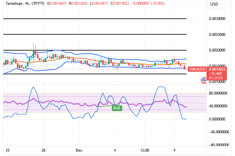 Tamadoge (TAMA/USD) Market Has a Retrace, Tending Rises