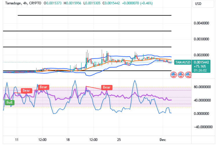Tamadoge (TAMA/USD) Market Tends to Hike, Holding a Base