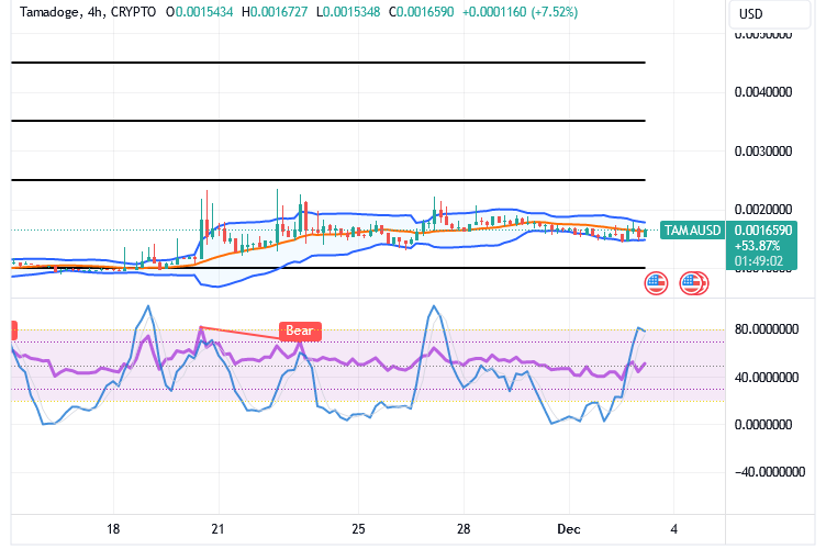 Tamadoge (TAMA/USD) Market Pushes Unsteadily, Holding Rises