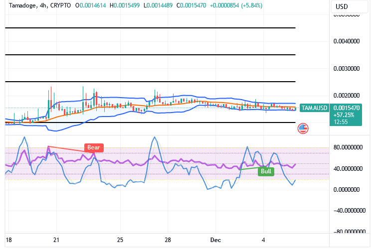 Tamadoge (TAMA/USD) Market Holds Rise Inputs, Affirming Basis