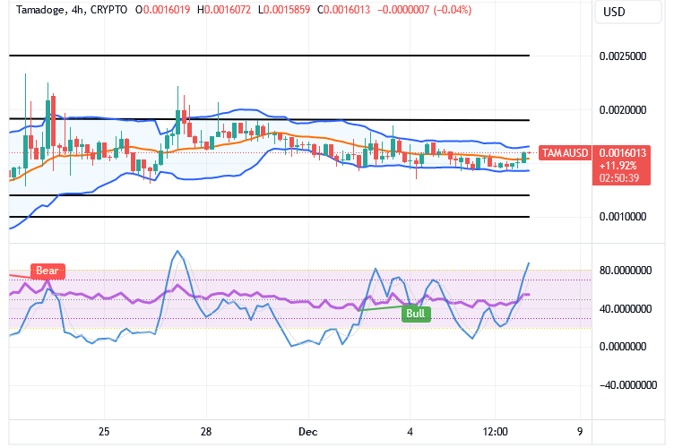 Tamadoge (TAMA/USD) Market Gears Up, Preparing for Spikes