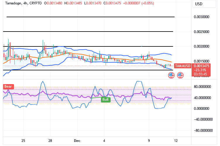 Tamadoge (TAMA/USD) Market Holds Down, Garnering Catalysts