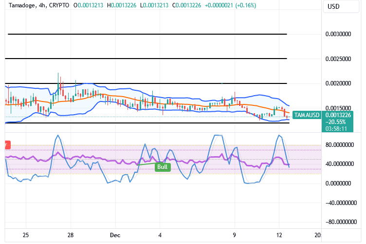 Tamadoge (TAMA/USD) Market Is Downside, Building a Strength