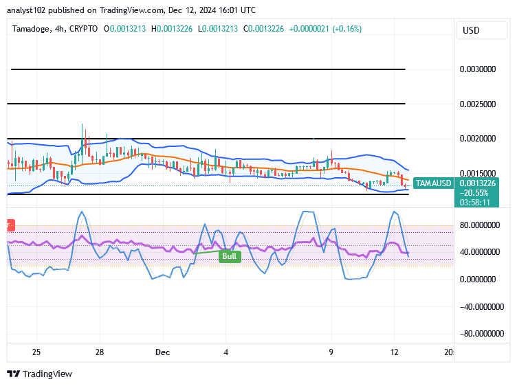 Tamadoge (TAMA/USD) Market Is Downside, Building a Strength