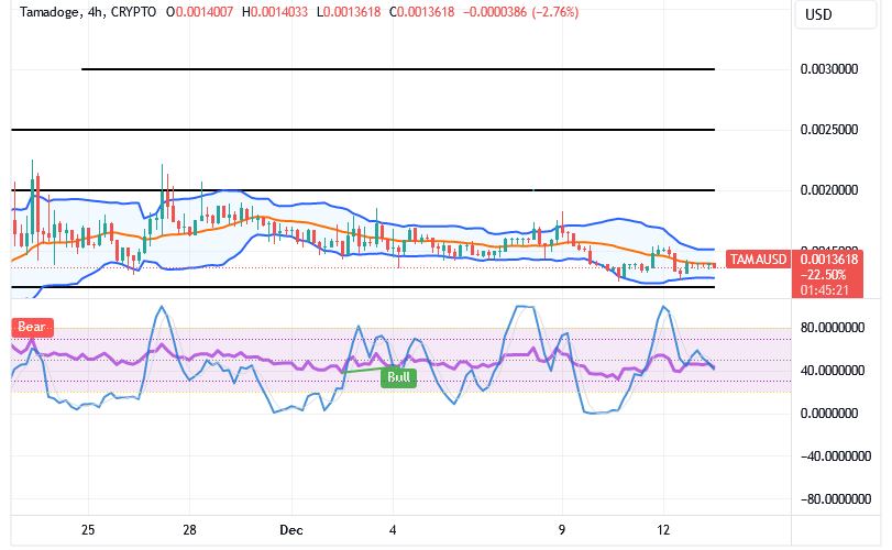 Tamadoge (TAMA/USD) Market Waves Down, Holding Hikes