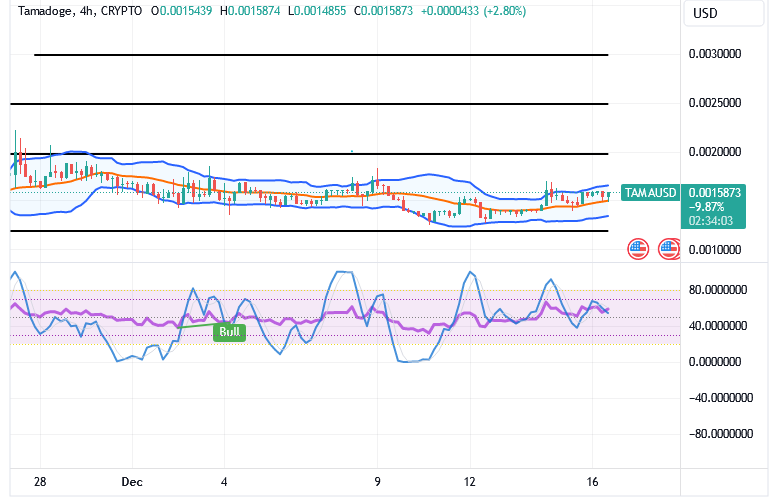 Tamadoge (TAMA/USD) Trade Has Hike Inputs, Tending Delays