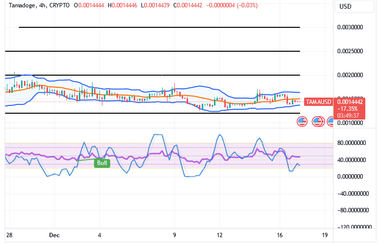 Tamadoge (TAMA/USD) Trade Retraces, Regaining Momentum