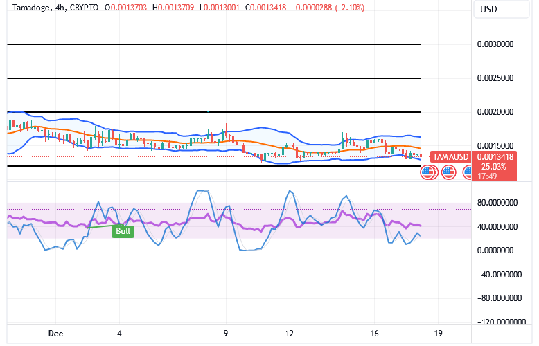 Tamadoge (TAMA/USD) Trade Goes Down, Affirming Bounces
