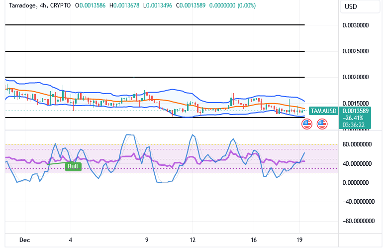 Tamadoge (TAMA/USD) Trade Flutters, Exercising Bounces