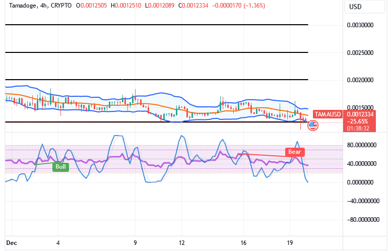 Tamadoge (TAMA/USD) Trade Pushes Lower, Rebuilding Spirals