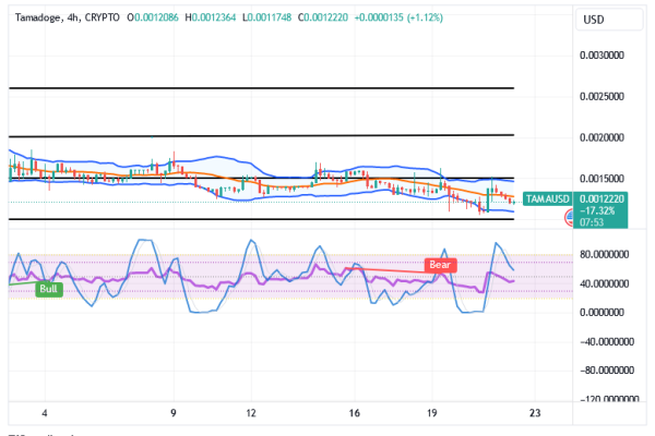 Tamadoge (TAMA/USD) Trade Finds Basis, Advancing Momentum