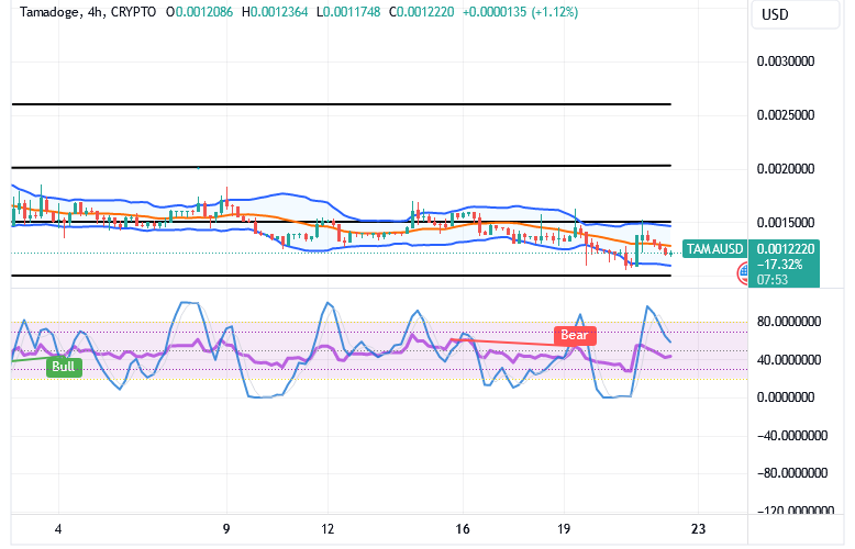 Tamadoge (TAMA/USD) Trade Finds Basis, Advancing Momentum