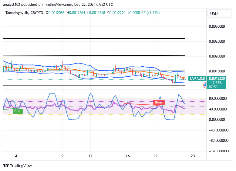 Tamadoge (TAMA/USD) Trade Finds Basis, Advancing Momentum