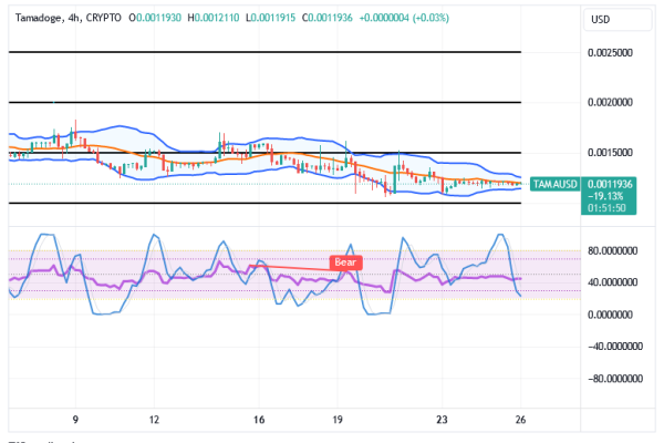 Tamadoge (TAMA/USD) Trade Gets Energy, Pushing in Ranges