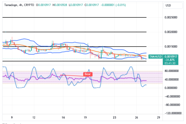 Tamadoge (TAMA/USD) Trade Steps Up Basis, Holding Hikes