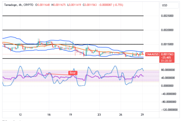 Tamadoge (TAMA/USD) Market Holds Up, Building Muscles