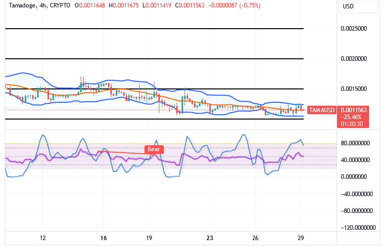 Tamadoge (TAMA/USD) Market Holds Up, Building Muscles