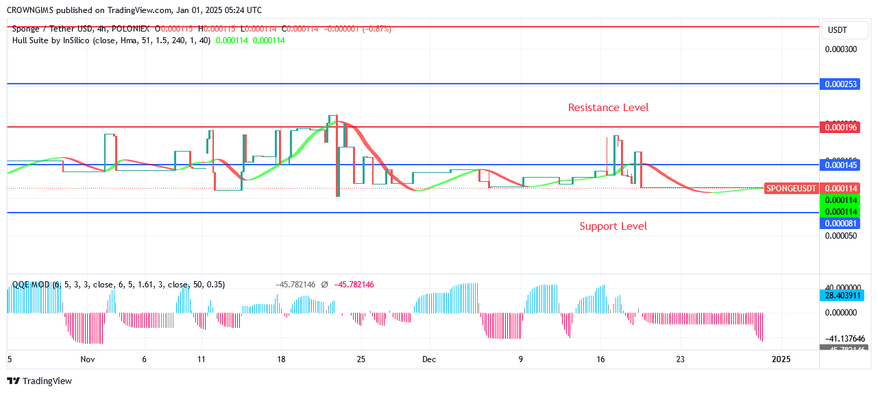 Sponge Price: All Investors Will Benefit from Bullish Trend