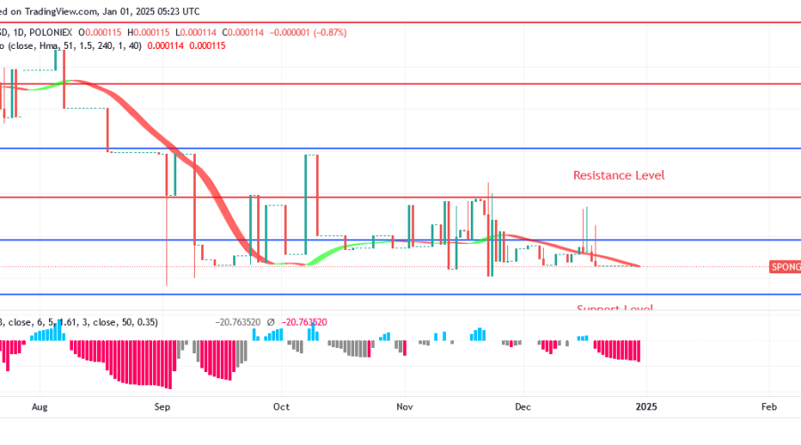 Sponge Price: All Investors Will Benefit from Bullish Trend