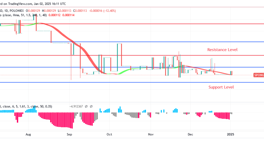 Sponge Price Is Reduced to Attract More Investors