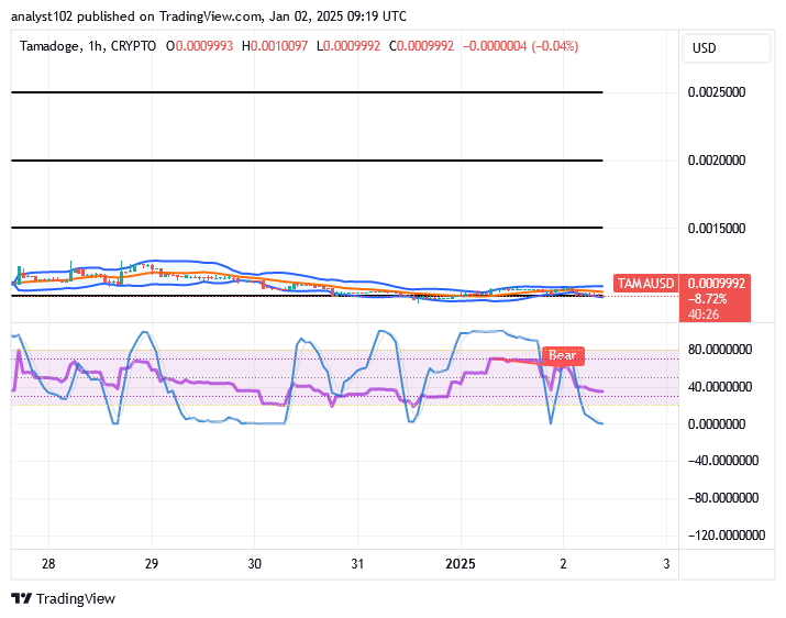 Tamadoge (TAMA/USD) Market Hits Basis, Muscling Energy