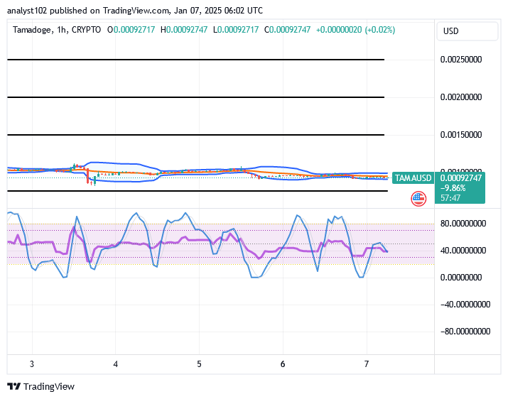 Tamadoge (TAMA/USD) Market Pushes Down, Fine-Tuning Basis