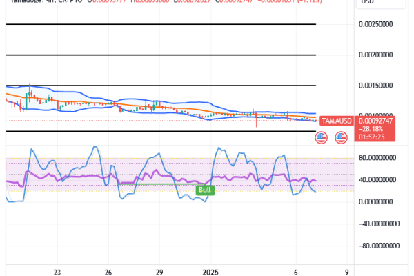 Tamadoge (TAMA/USD) Market Pushes Down, Fine-Tuning Basis